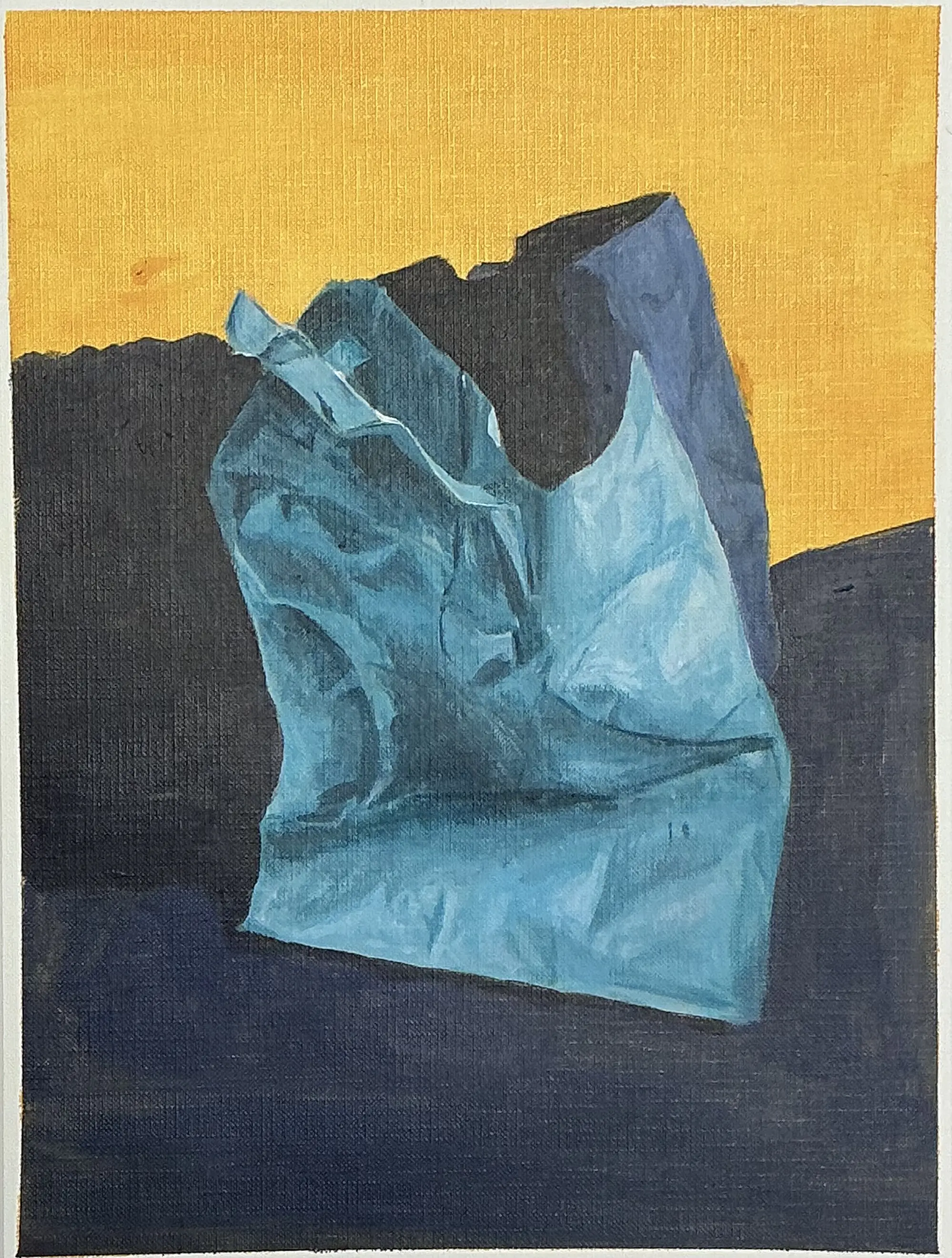 A Blu Blu Bag